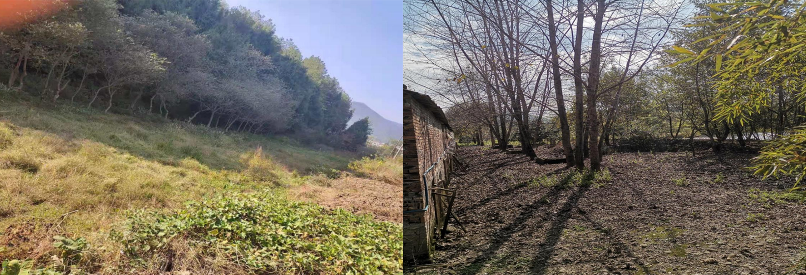 石塘村、五星村污水站現(xiàn)場(chǎng)選址現(xiàn)場(chǎng)圖.png